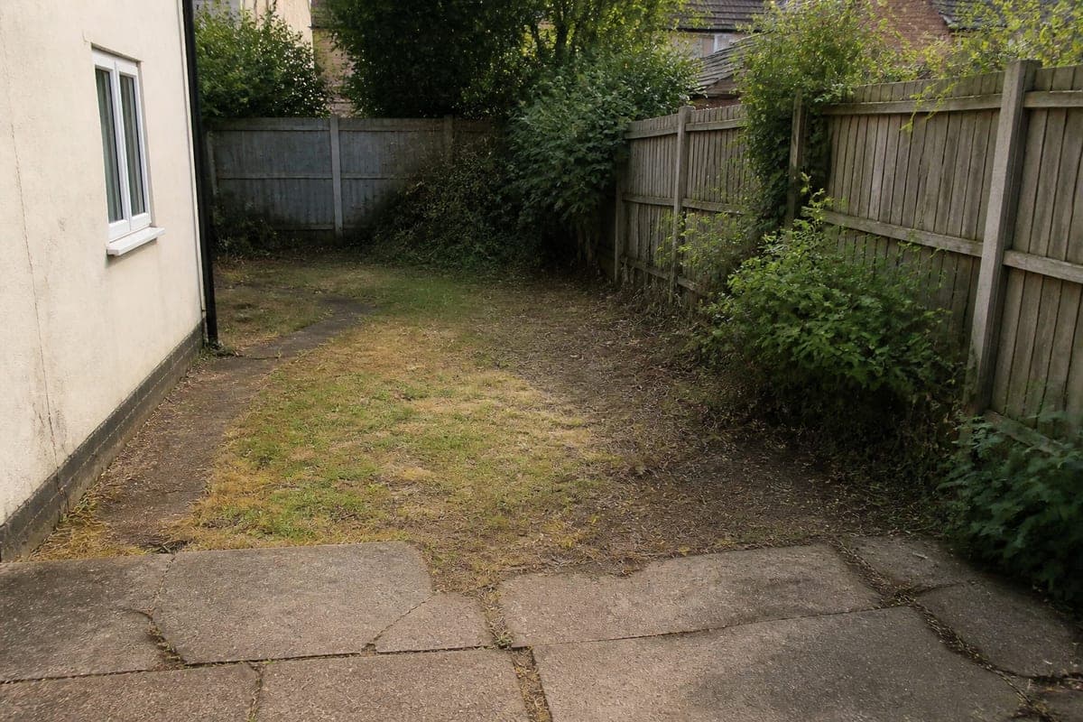 A narrow back garden beside a rendered house wall with timber fence panels down one side, shown first as patchy dry grass, weeds and cracked concrete slabs, then with pale porcelain paving, a crisp rectangular lawn, a planted border of grasses and clipped evergreens, and a timber bench, as shot
