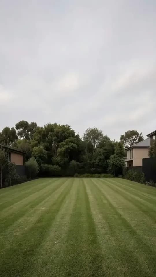 An empty striped lawn under a pale overcast sky, with a line of tall trees behind it and the edges of neighbouring houses on the left and right